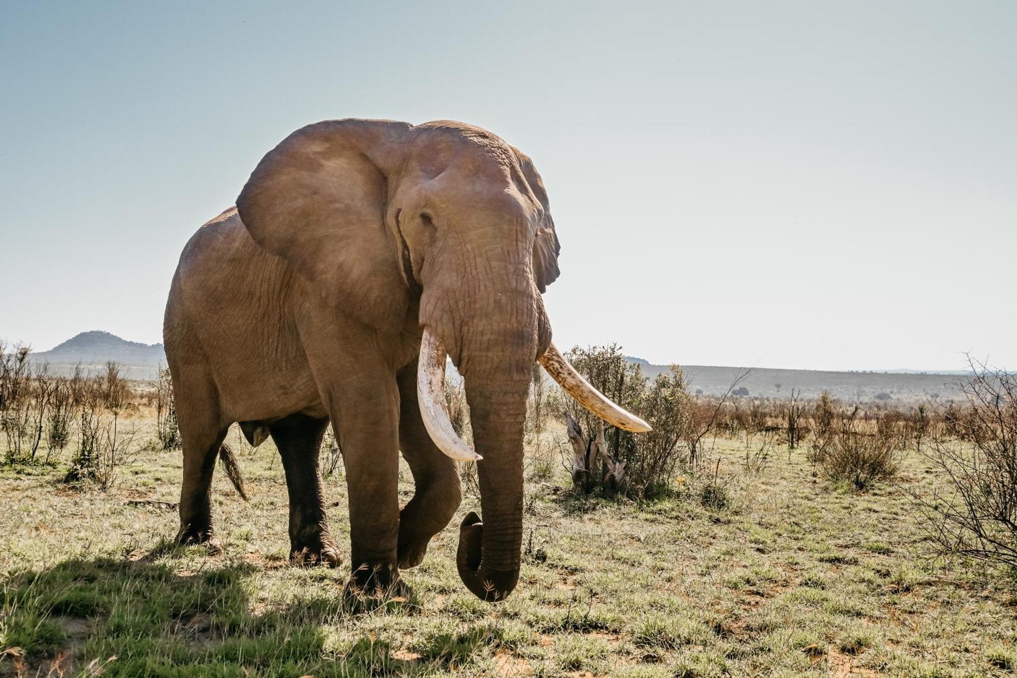 Mdluli Safari Lodge Hazyview Luaran gambar